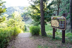 동탄 유아 동반 (출처 : 한국관광공사)