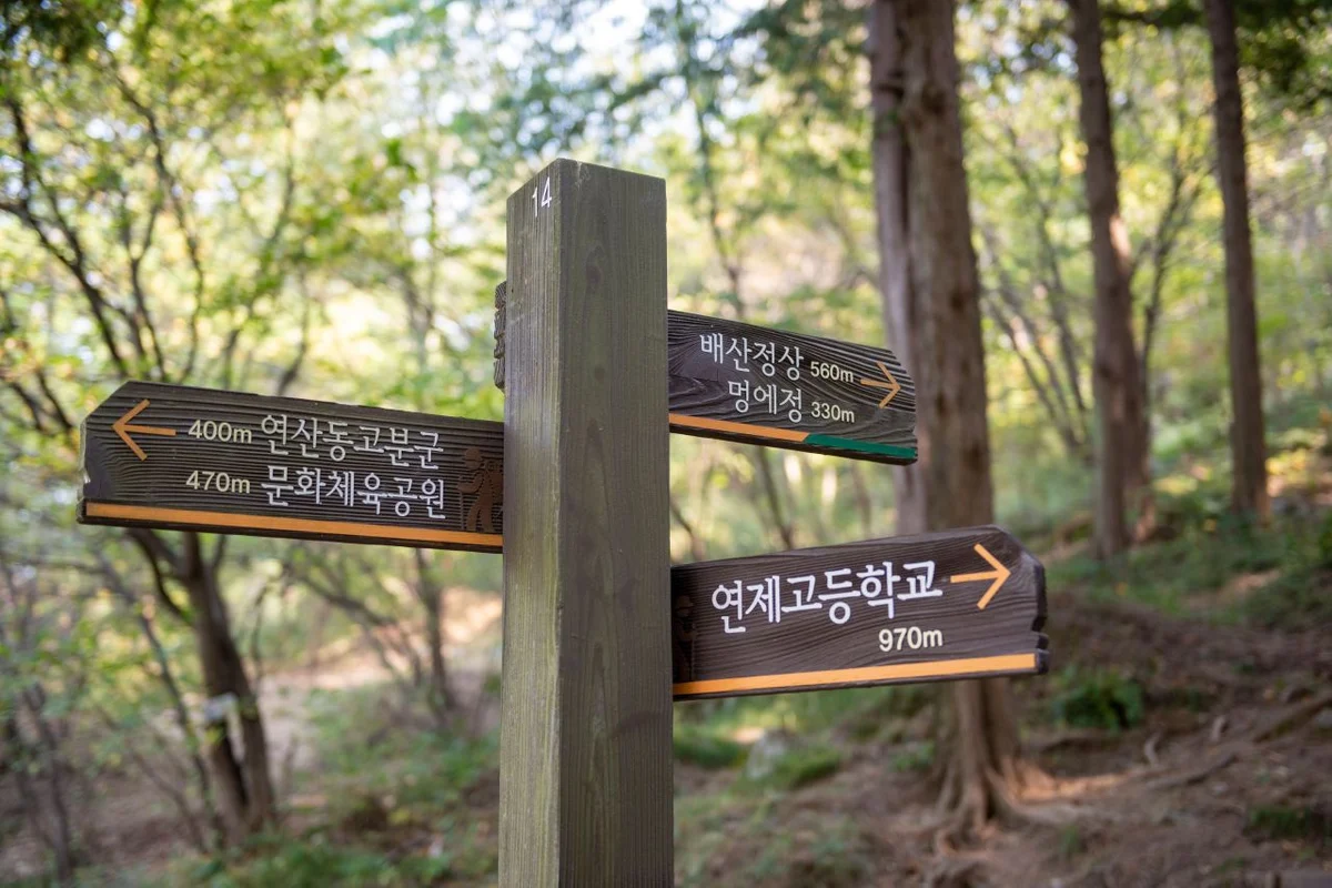 배산 - 연제구 여행