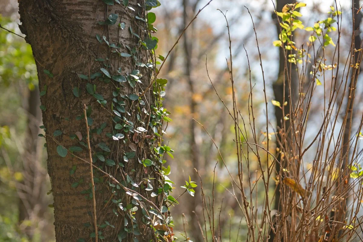 연산 로터리 일대 - 연제구 여행