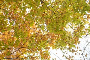 연제 야경 (출처 : 한국관광공사)