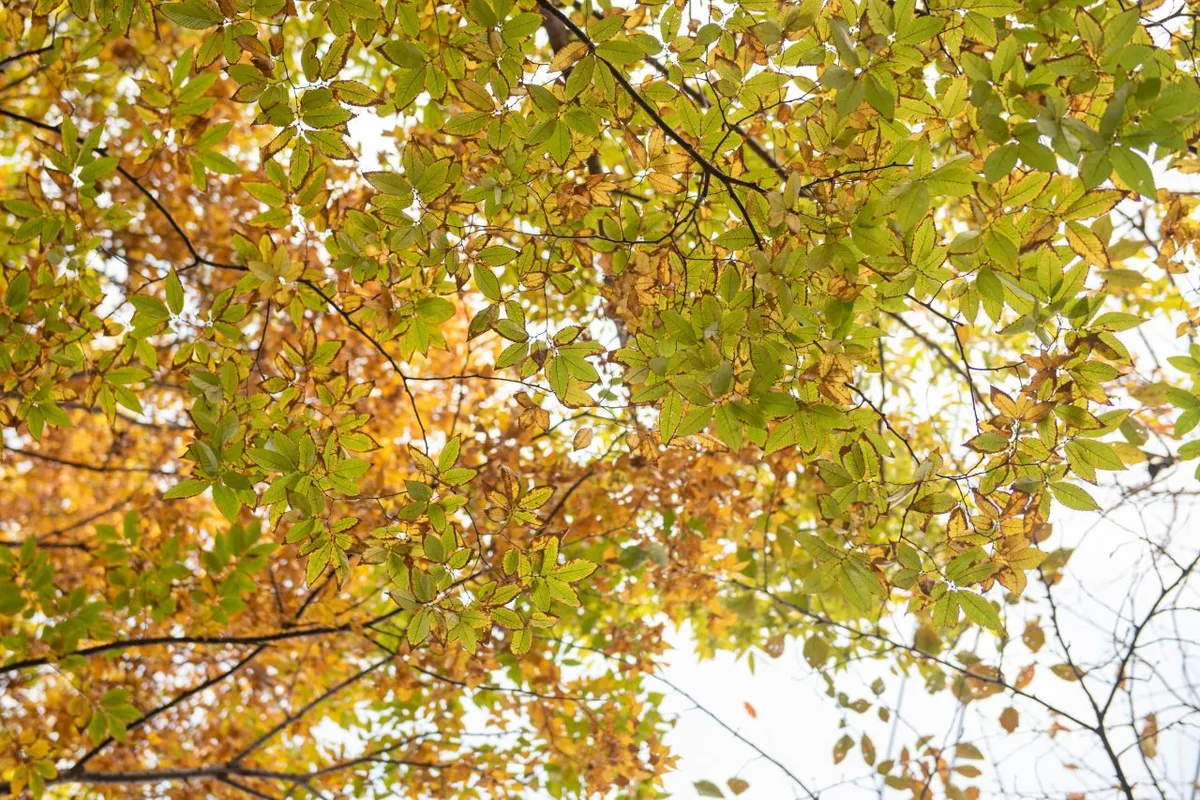 연제 야경 (출처 : 한국관광공사)