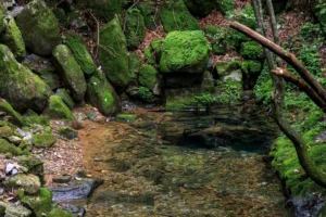 태백 인스타 명소 (출처 : 한국관광공사)