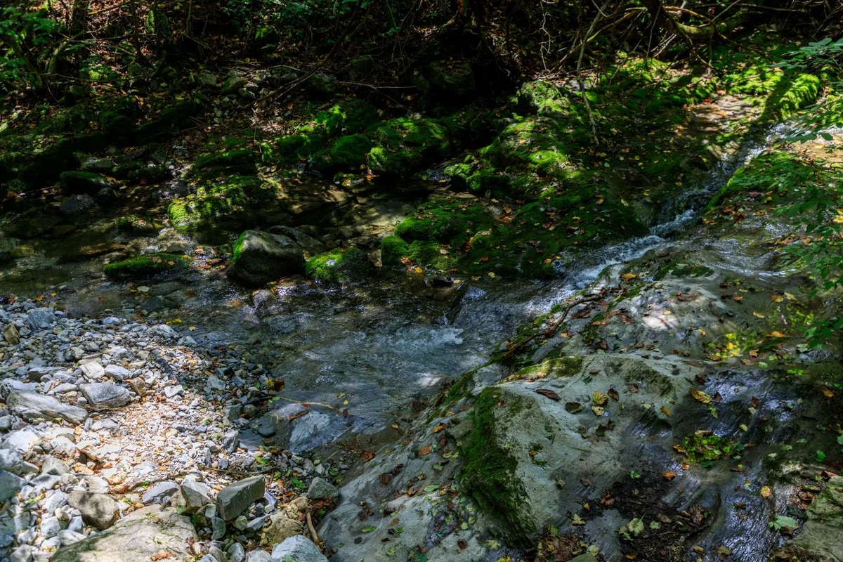 365세이프타운 - 태백여행 여행