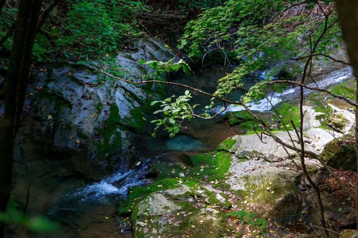 몽토랑산양목장&뷰카페 - 태백여행 여행