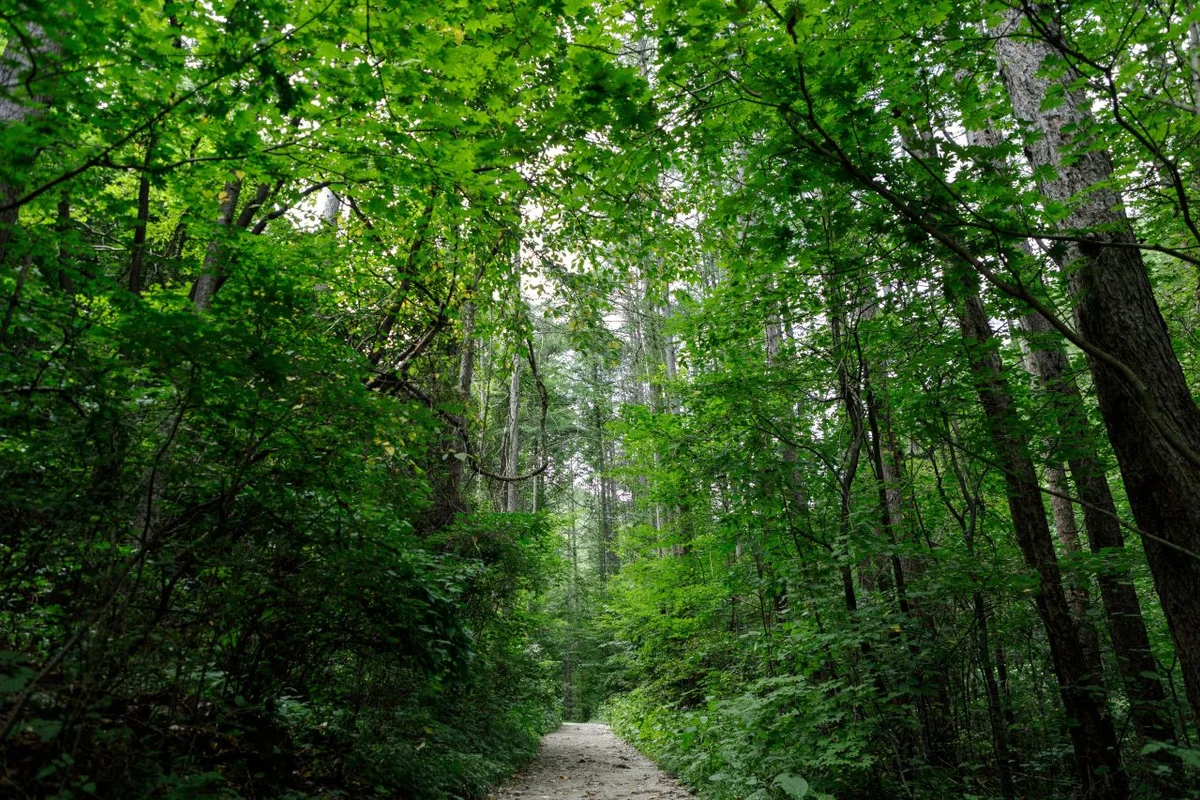 황지연못 - 태백여행 여행