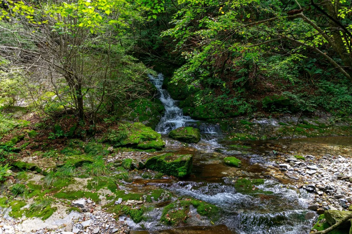 귀네미마을 - 태백여행 여행