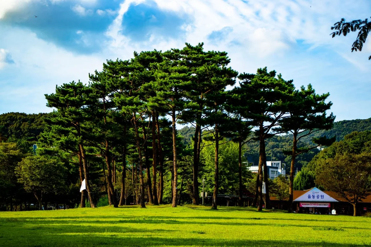 분당 커플 숙소와 함께하는 율동공원 산책 - 분당여행 여행