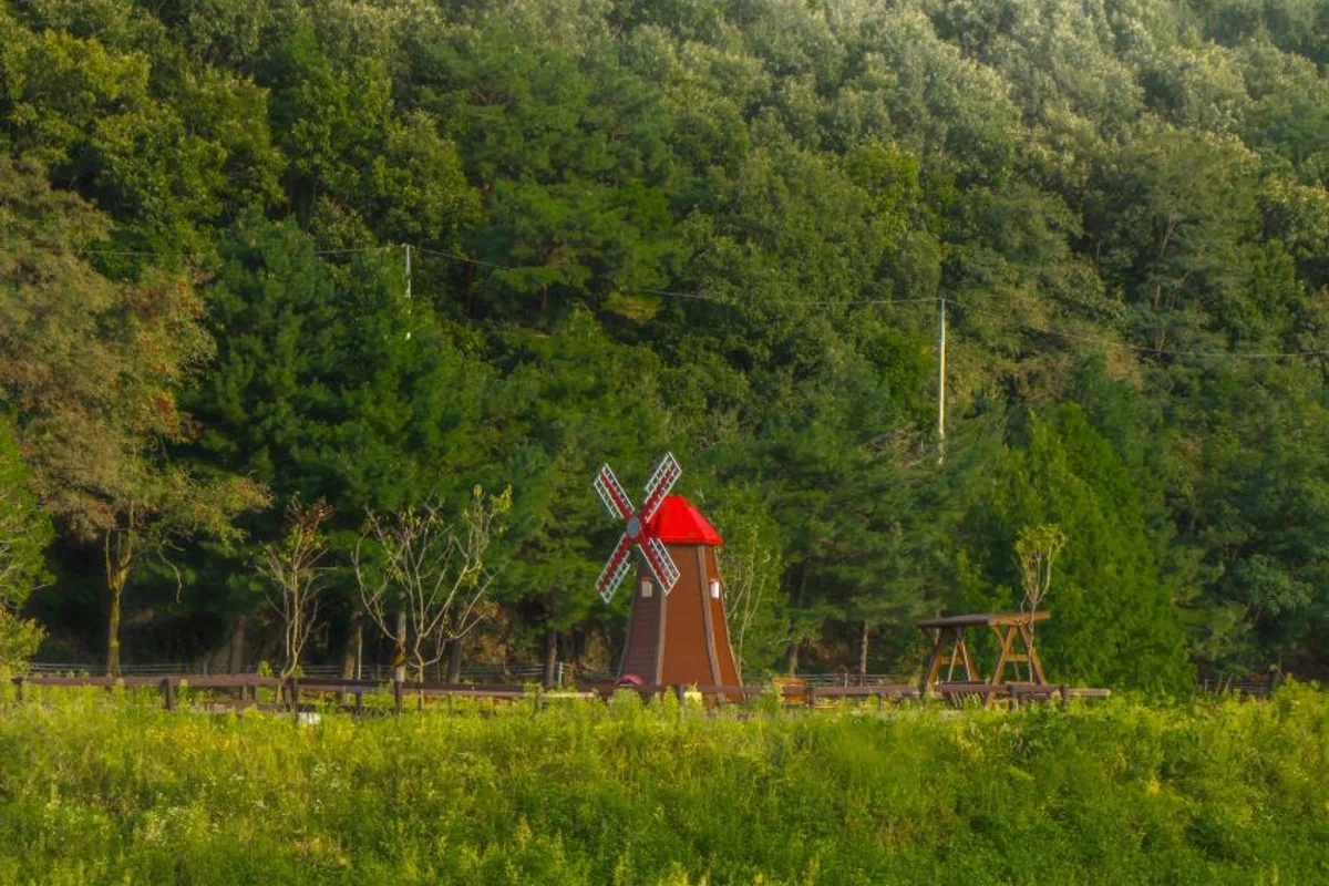 백현동카페문화거리: 트렌디한 데이트 코스 - 분당여행 여행