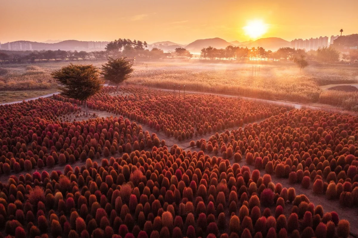 갯골생태공원 - 시흥 여행