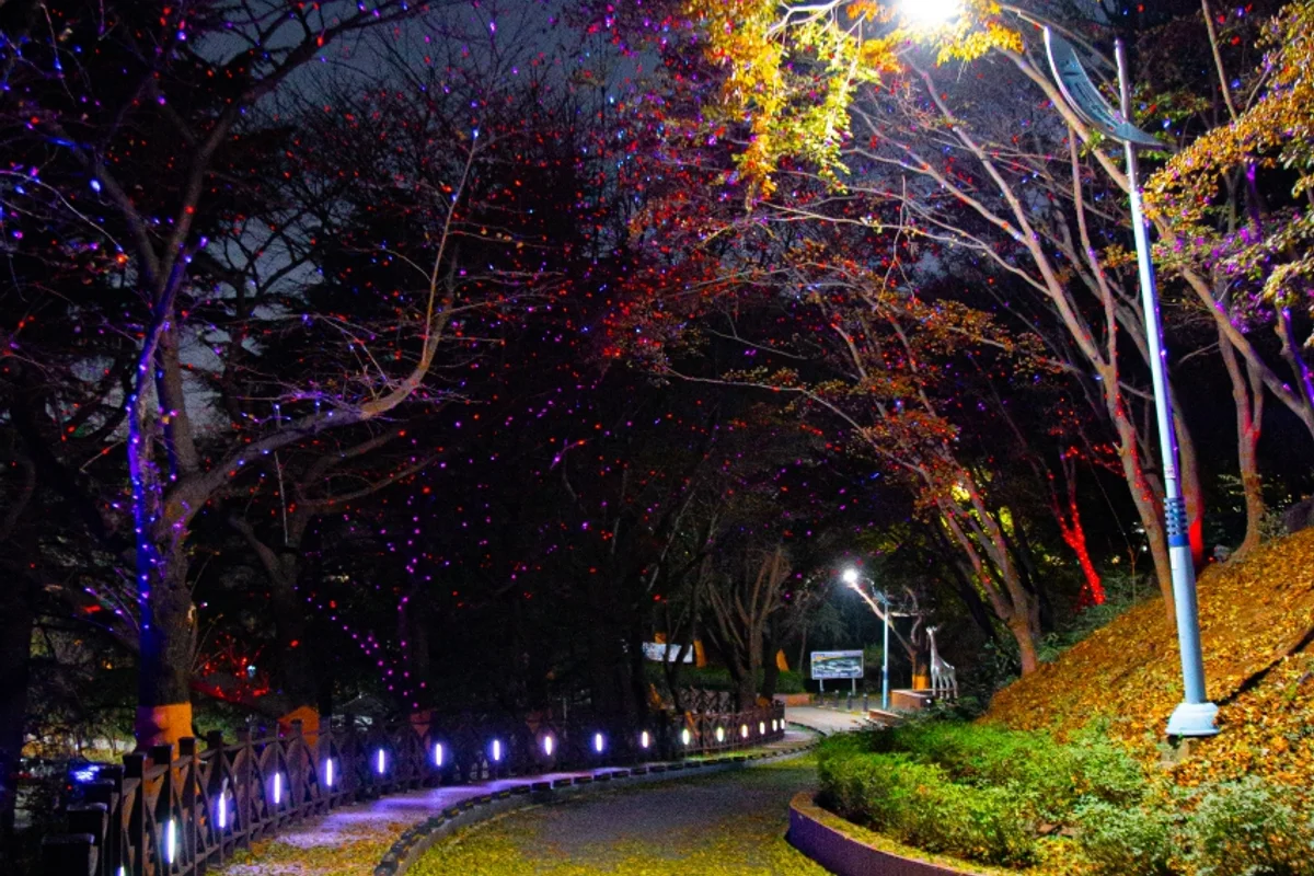 미추홀구 체험의 중심: 주안영상미디어센터 - 미추홀구 여행