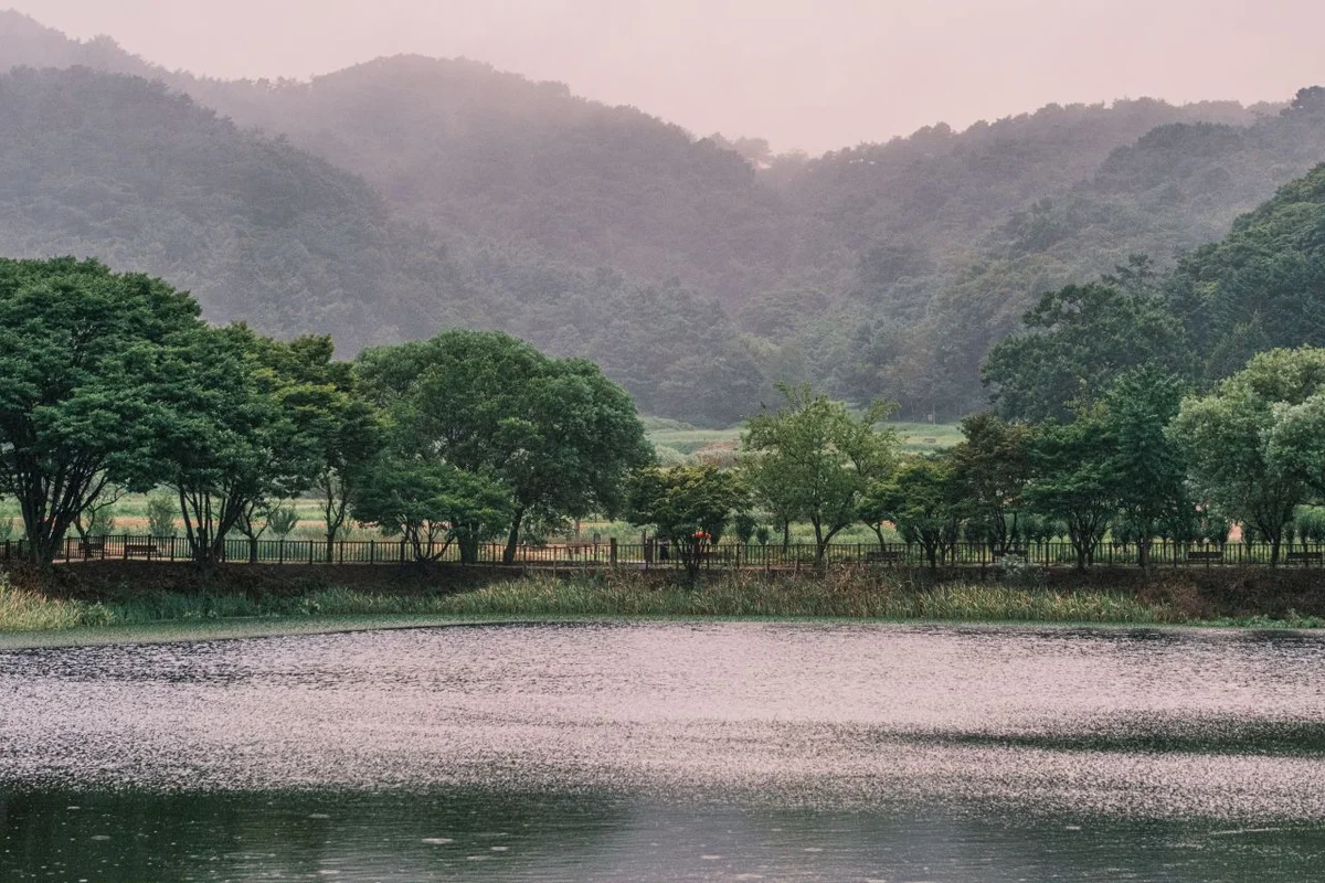 자연마당 - 세종시 여행