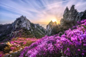 강진군 일출 명소 (출처 : 한국관광공사)