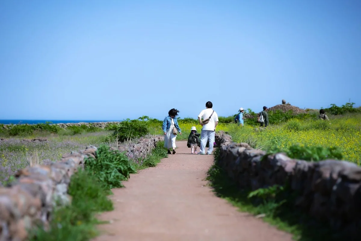 파주 출판도시 - 5월여행 여행