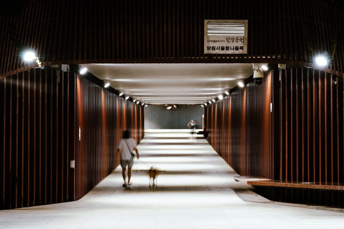 망원 한강공원 - 홍대 여행