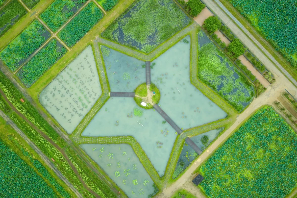 연꽃테마파크 - 시흥 여행