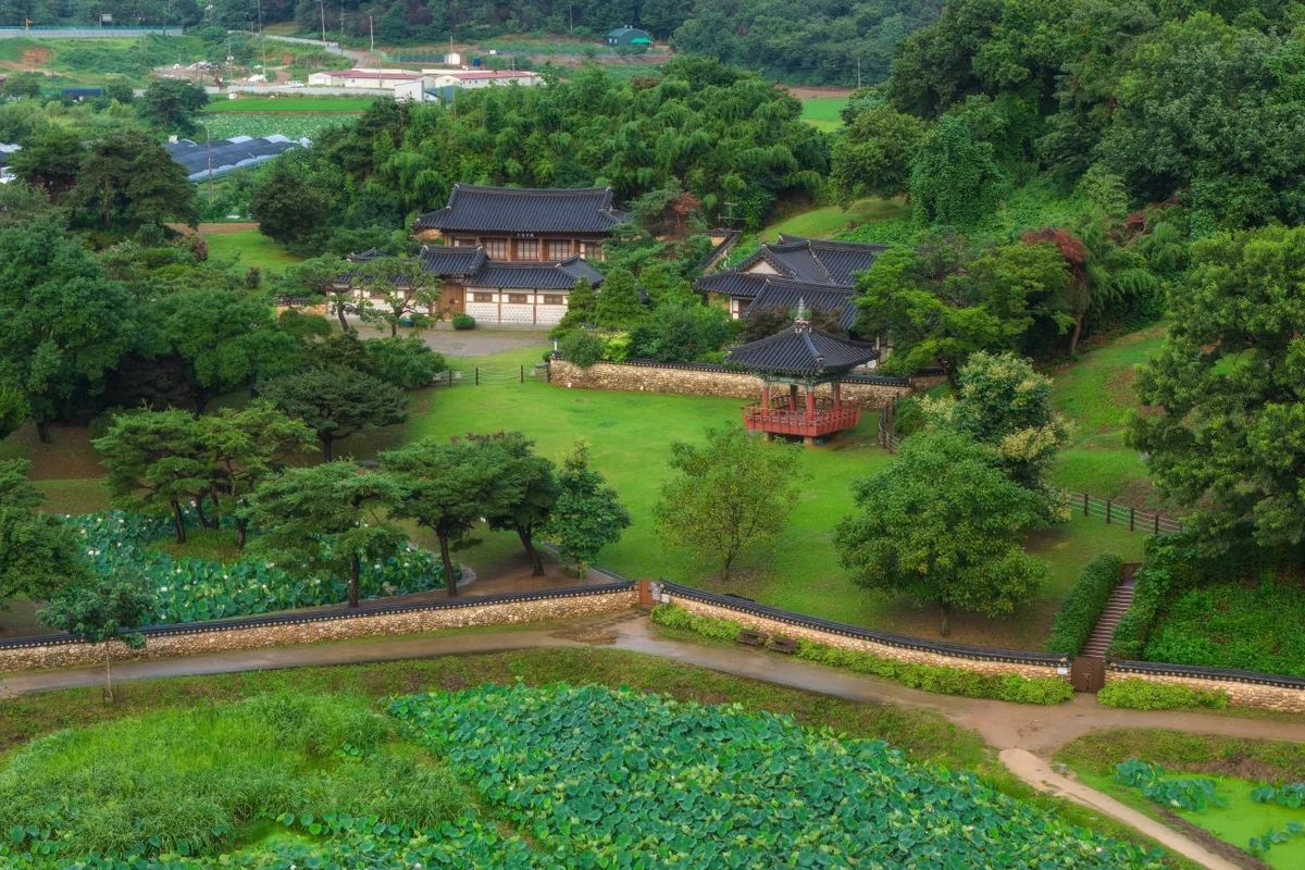 물왕저수지 - 시흥 여행