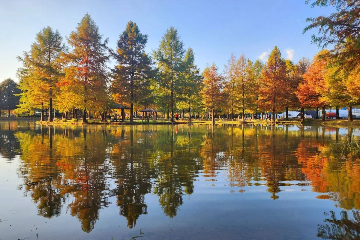 개구리생태공원 - 담양 여행