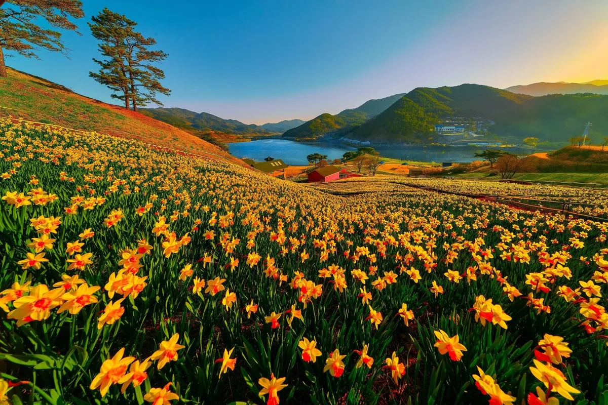 지리산치즈랜드 - 구례군 여행