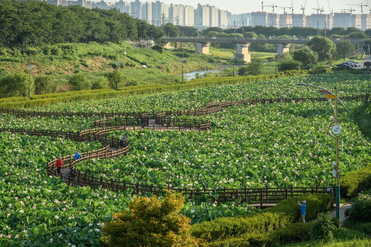 조치원테마거리: 가족 체험의 시작점 - 조치원가족여행 여행