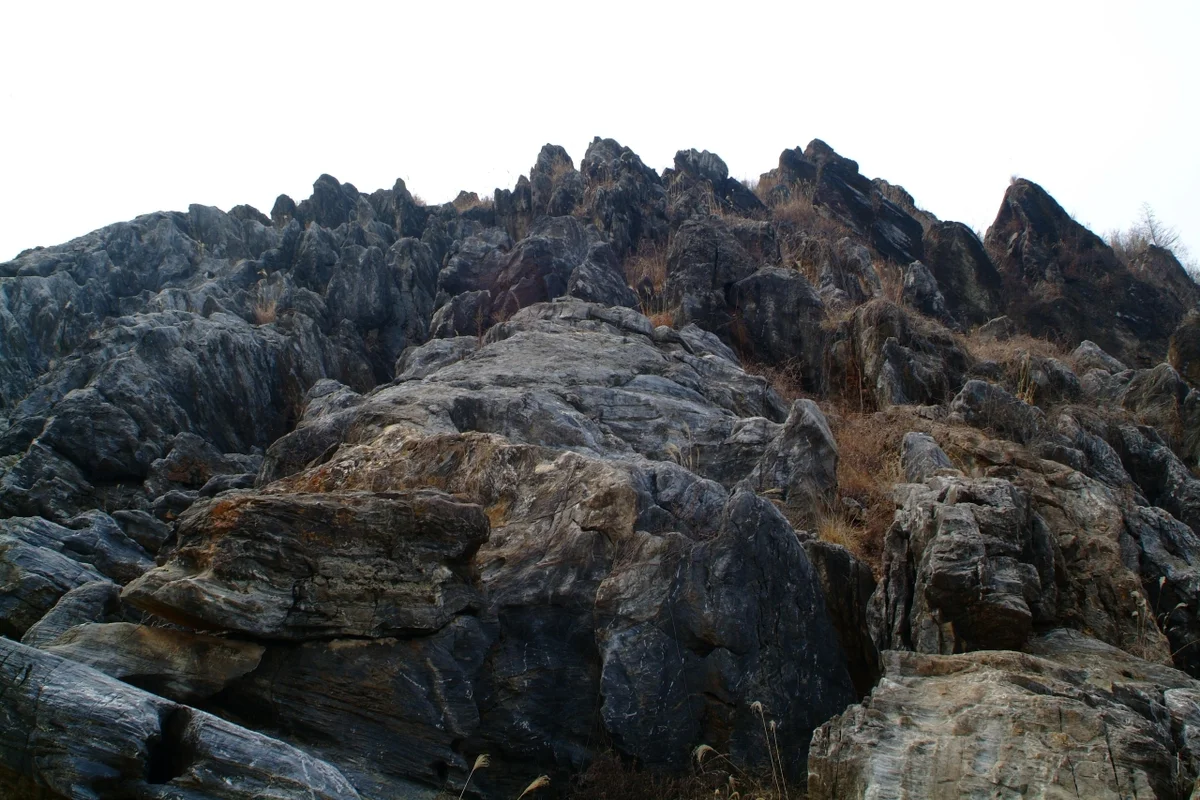 삼한의 초록길 - 제천여행 여행