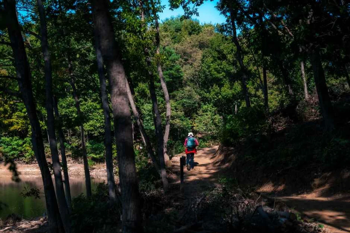 경산시 가볼만한곳: 2026년 봄 추천 명소 - 경산여행 여행