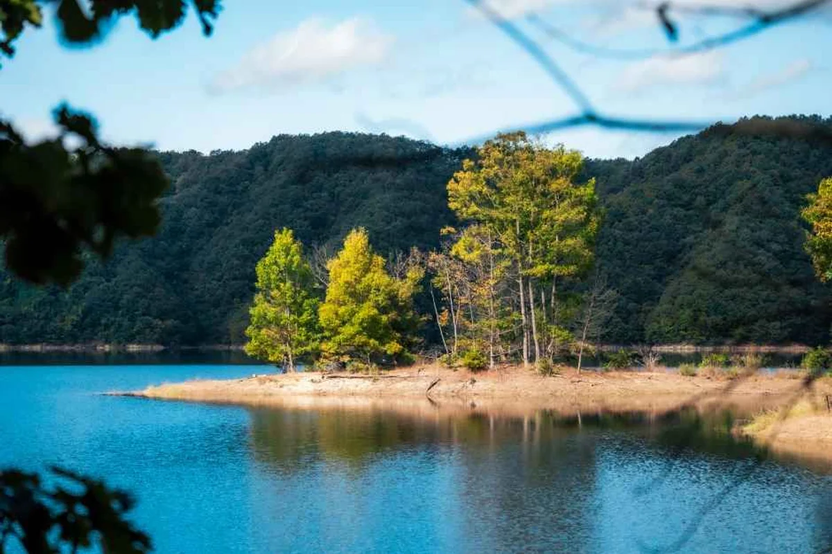 경산동의한방촌 - 경산여행 여행