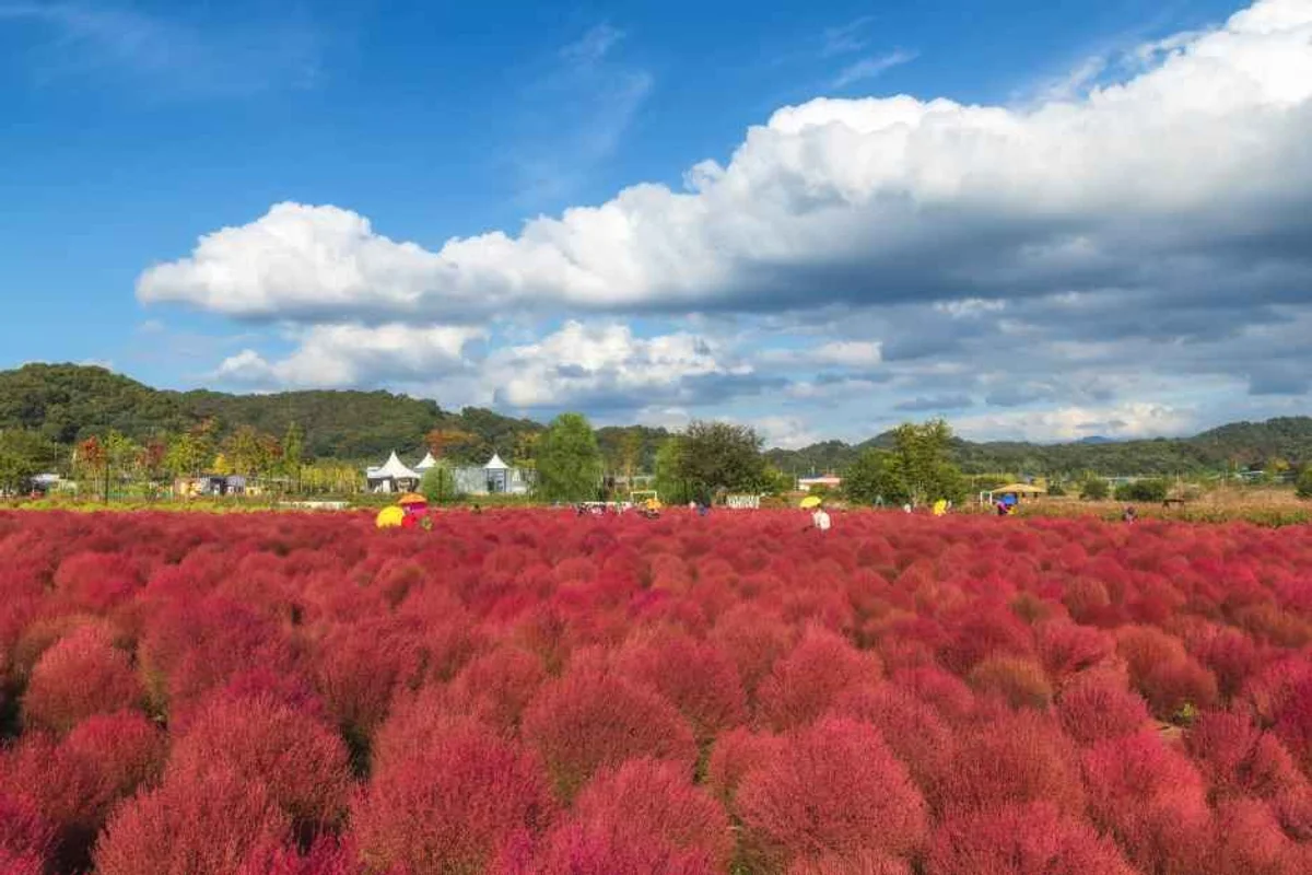 허브빌리지 - 연천군 여행