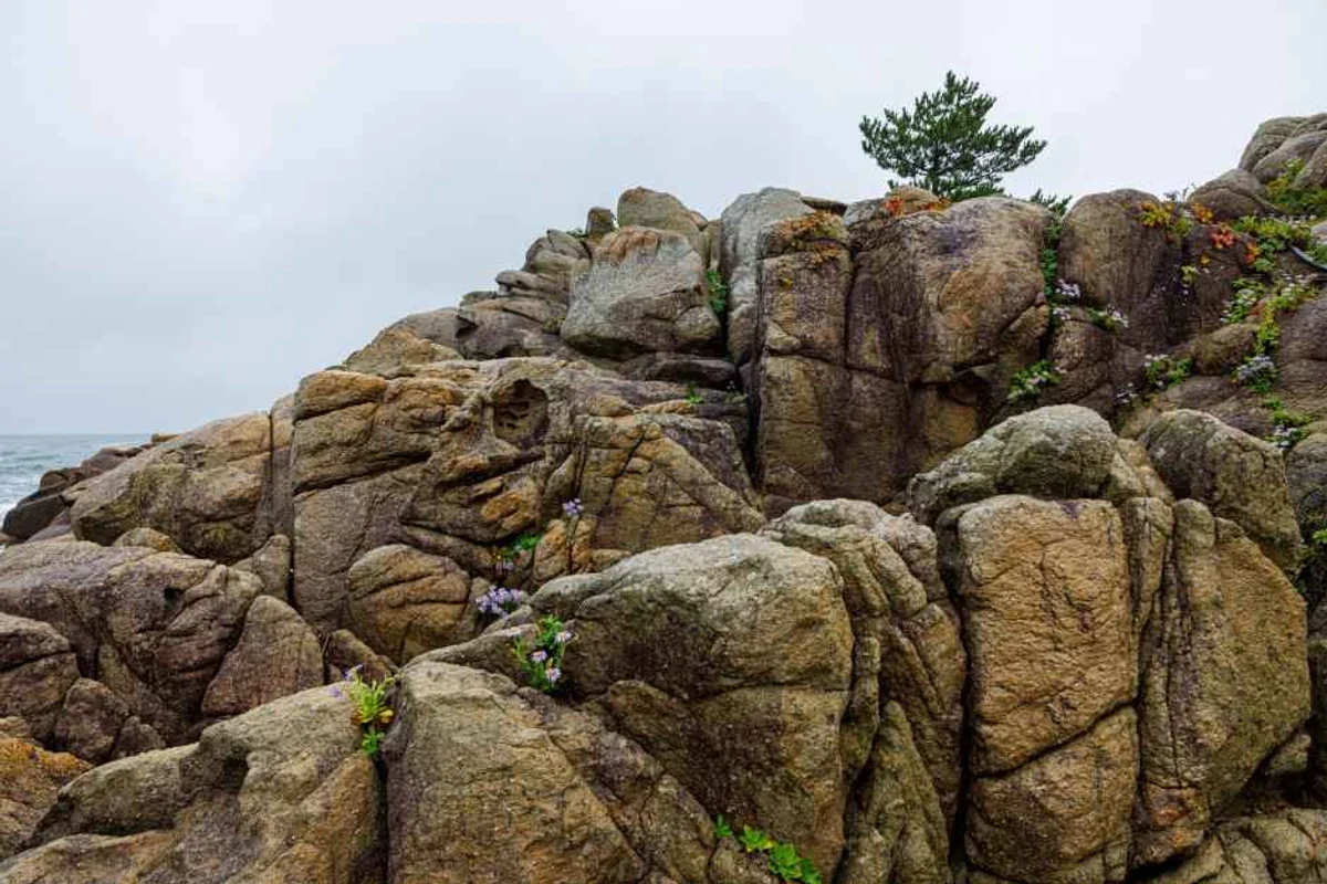 고성통일전망타워 - 고성군여행 여행