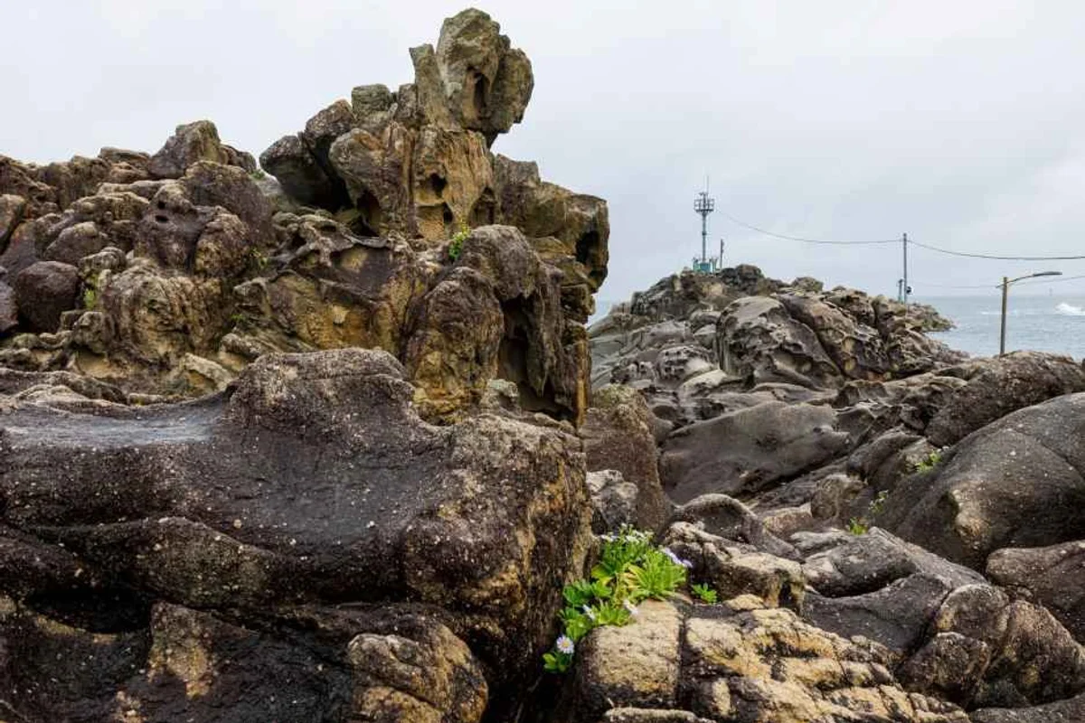 델피노 오션플레이 - 고성군여행 여행