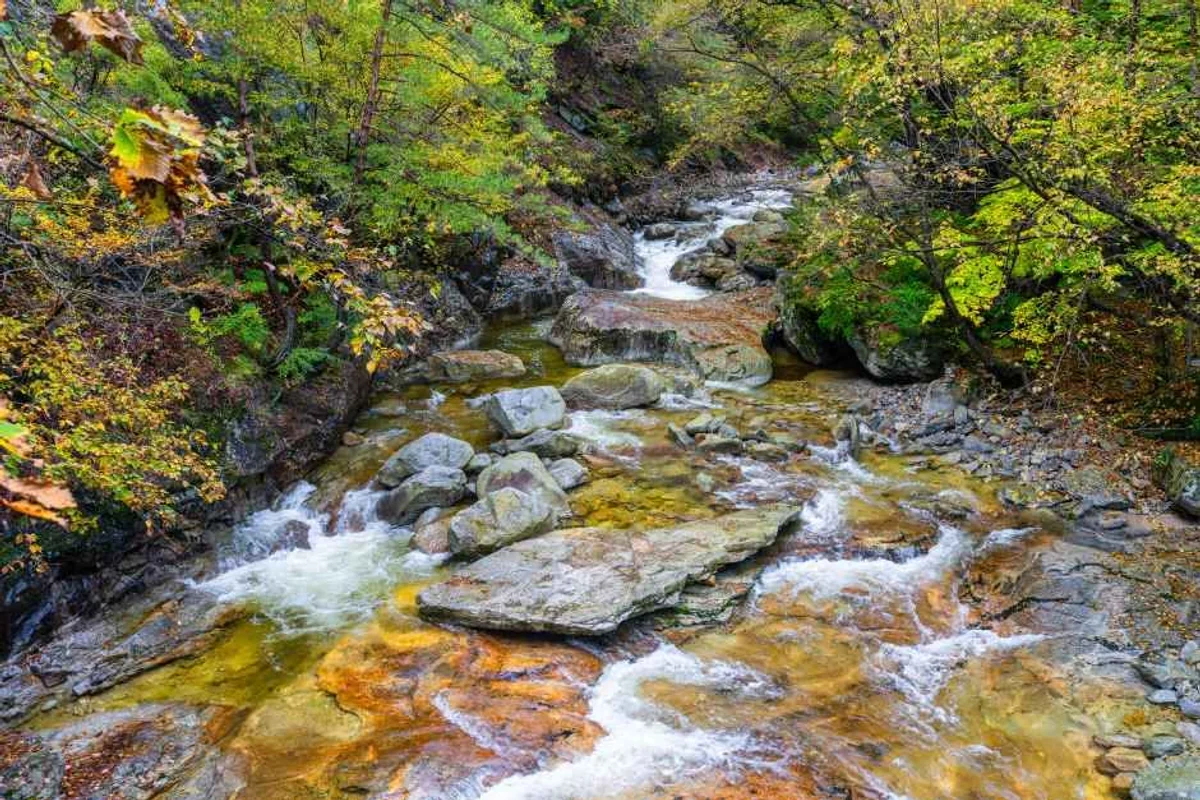 내린천 - 인제여행 여행