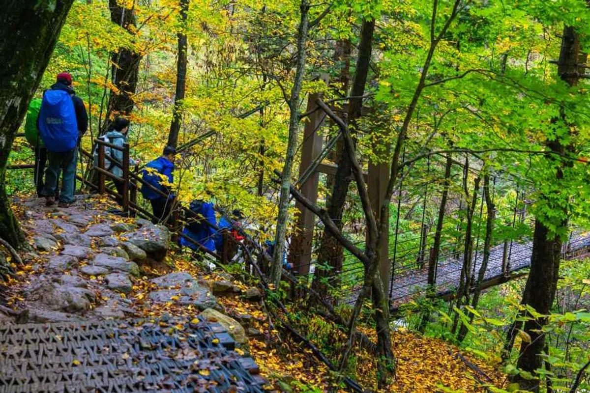 아침가리계곡 - 인제여행 여행