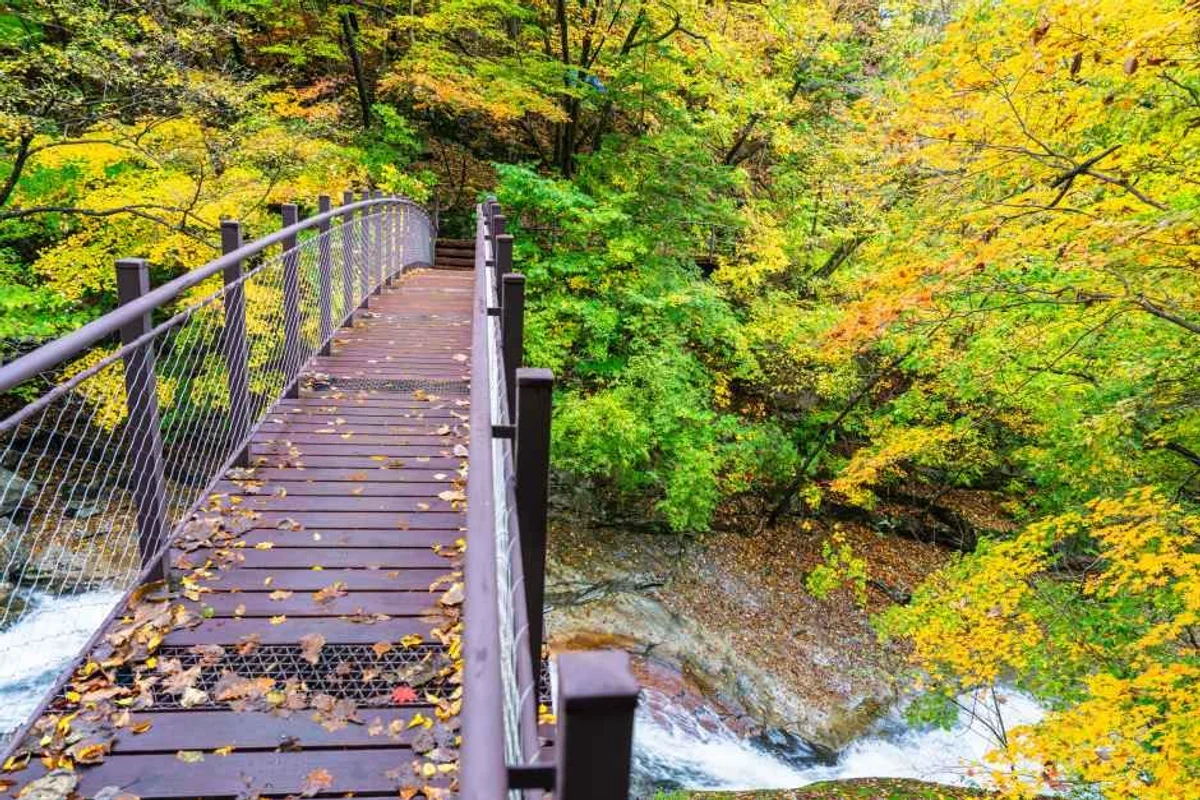 인제교육도서관 - 인제여행 여행