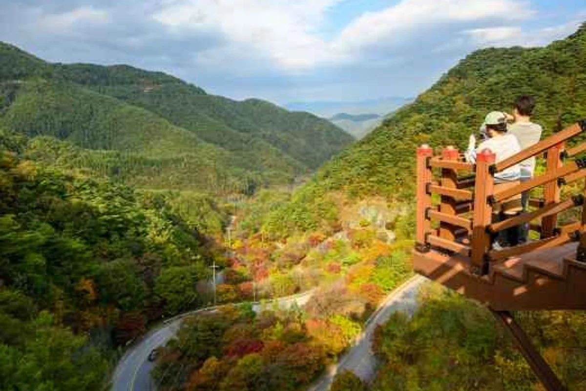 38스쿠버다이빙센터 - 양양서피비치 여행