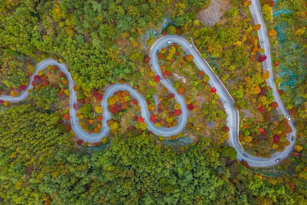 정미니하우스 야양딸기 - 양양서피비치 여행