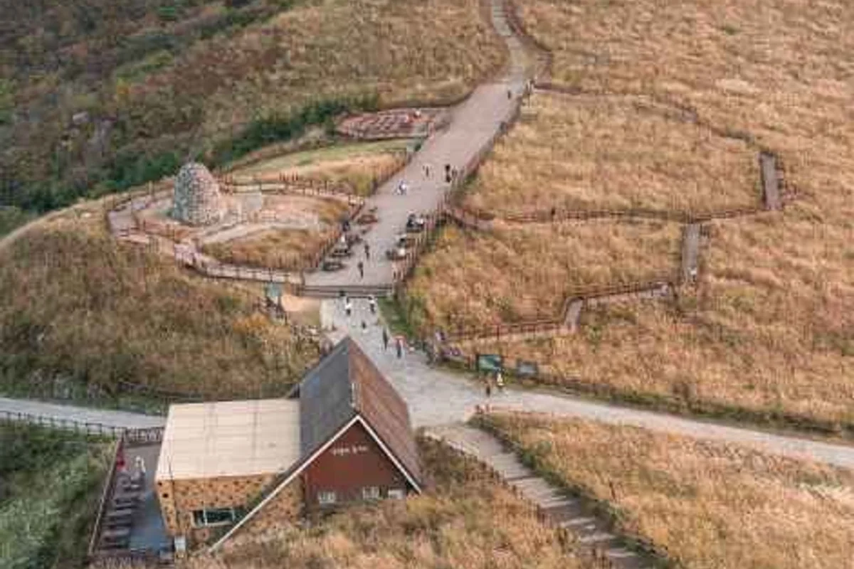 목동 안양천 산책로 - 목동 여행