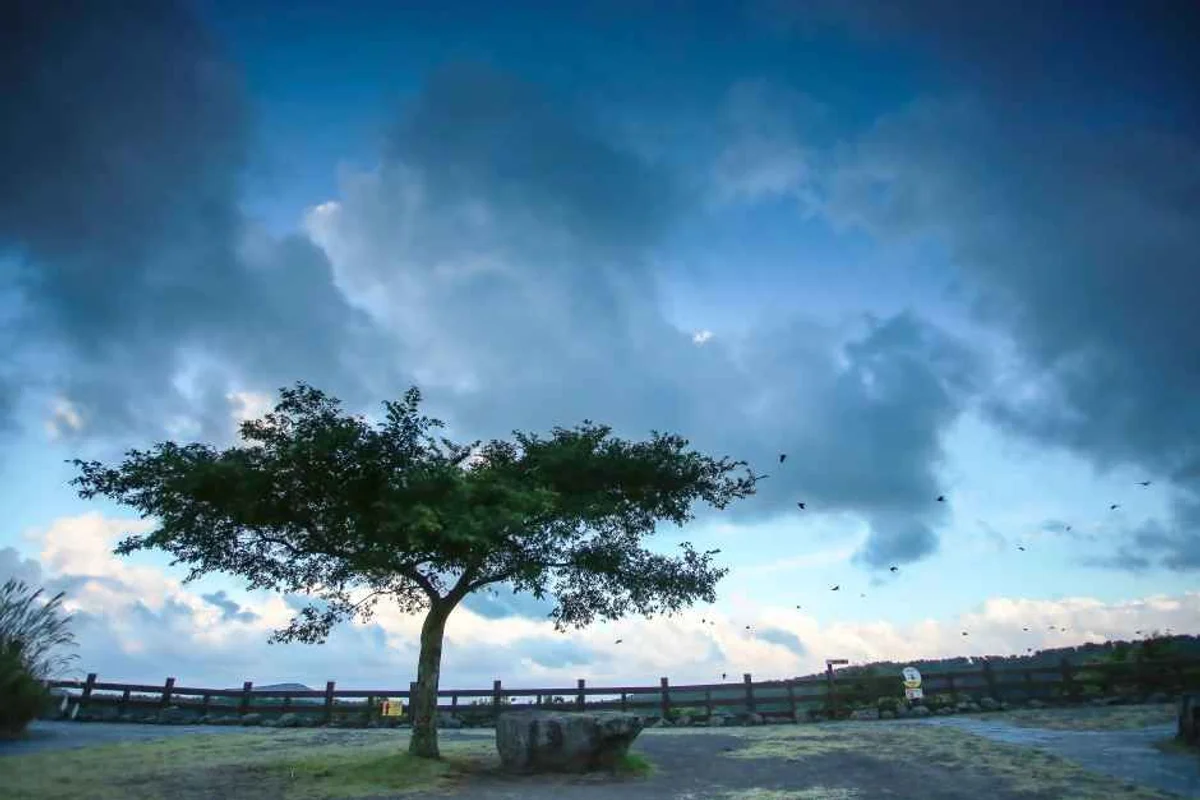 아르떼뮤지엄 제주 - 제주여행 여행