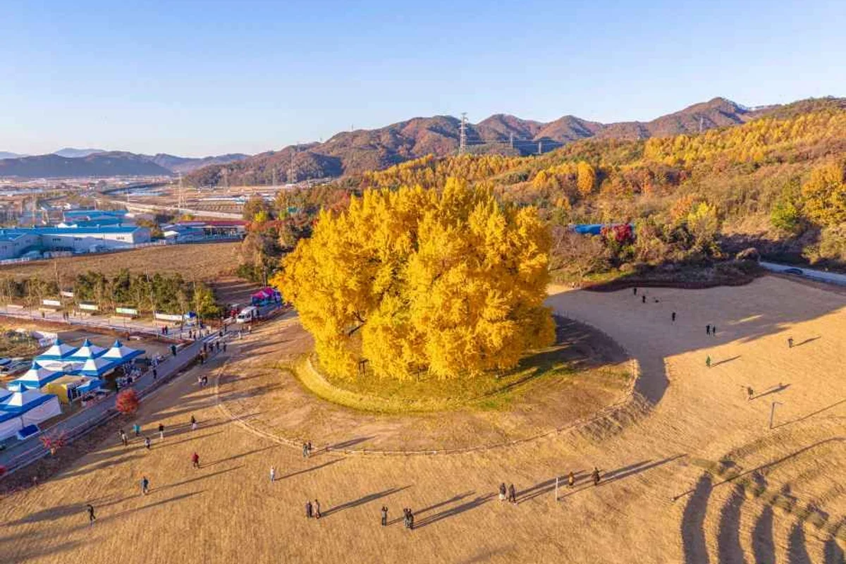 AK플라자 원주 - 원주여행 여행