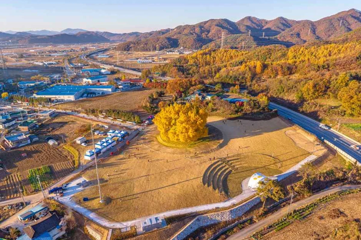 원주자유시장 - 원주여행 여행