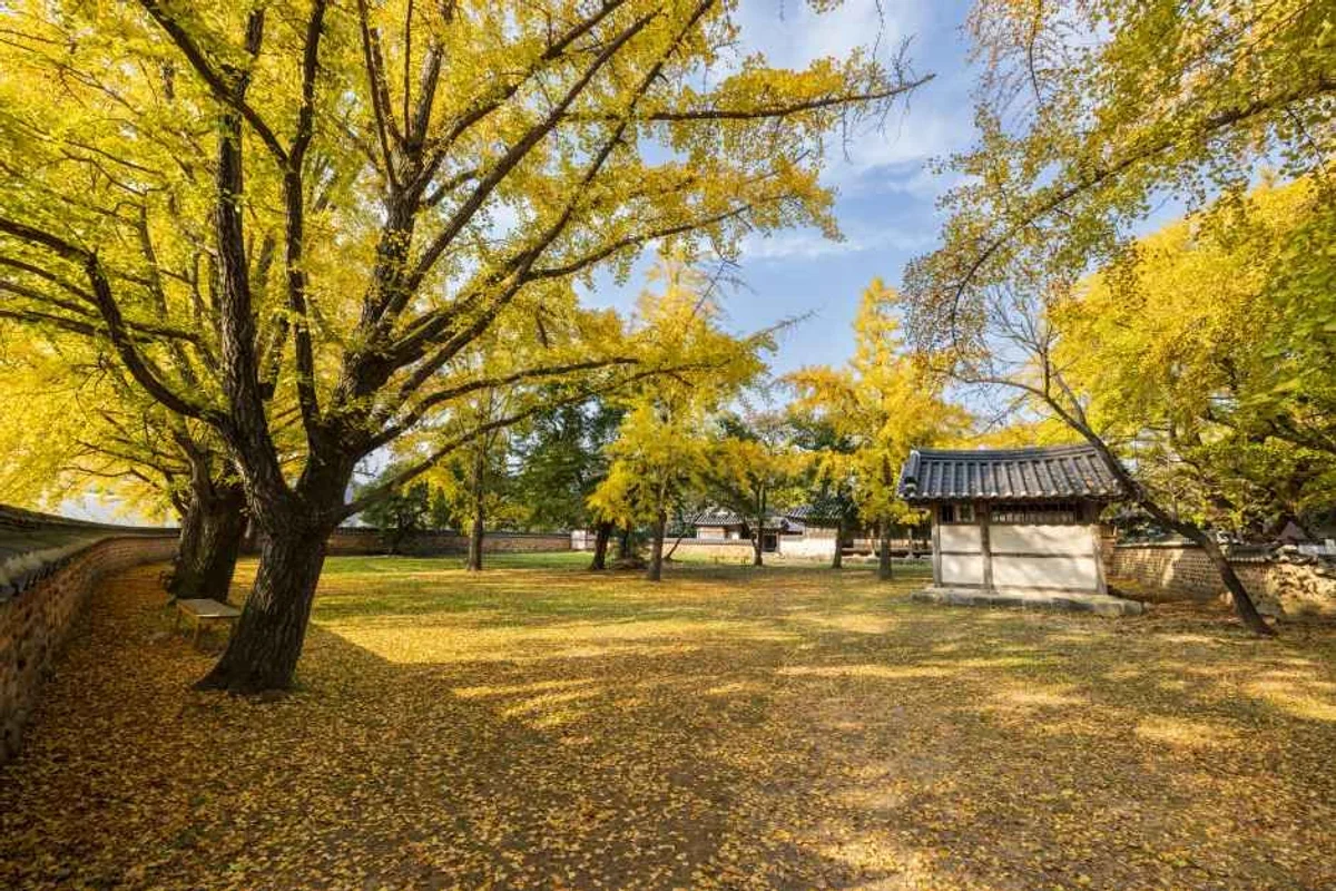 청라 부모님 모시고 갈만한곳 (출처 : 한국관광공사)