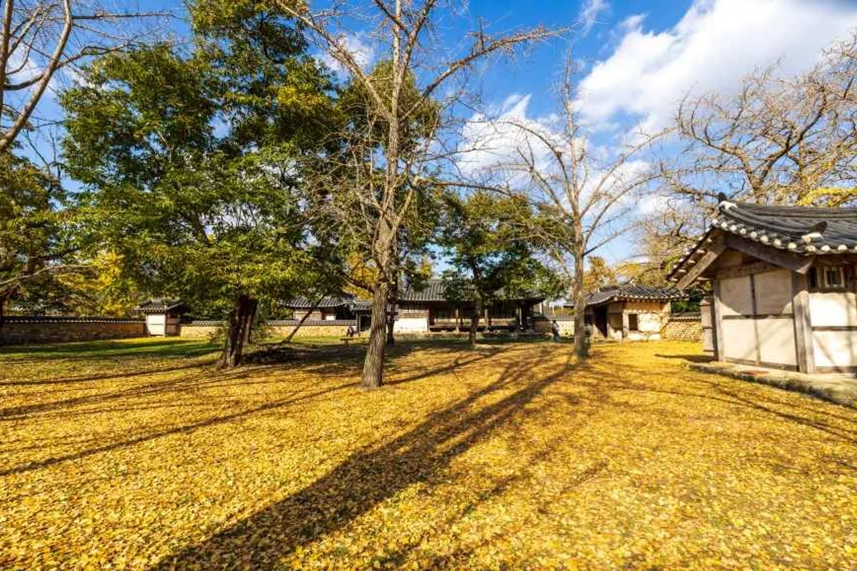 청라호수공원 - 청라여행 여행