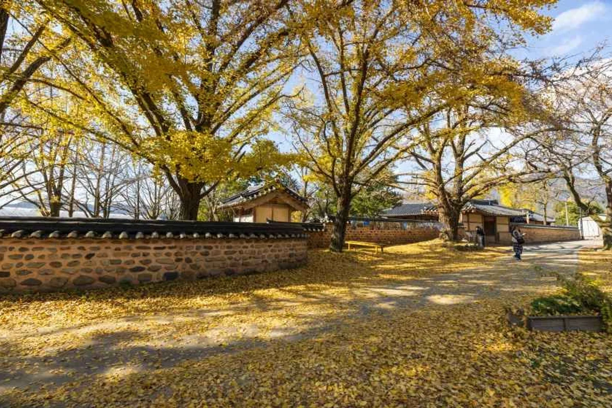 경인아라뱃길여객터미널아라타워 - 청라여행 여행