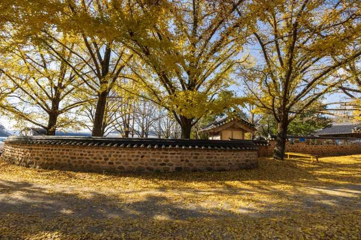 쥬라리움 청라점 - 청라여행 여행