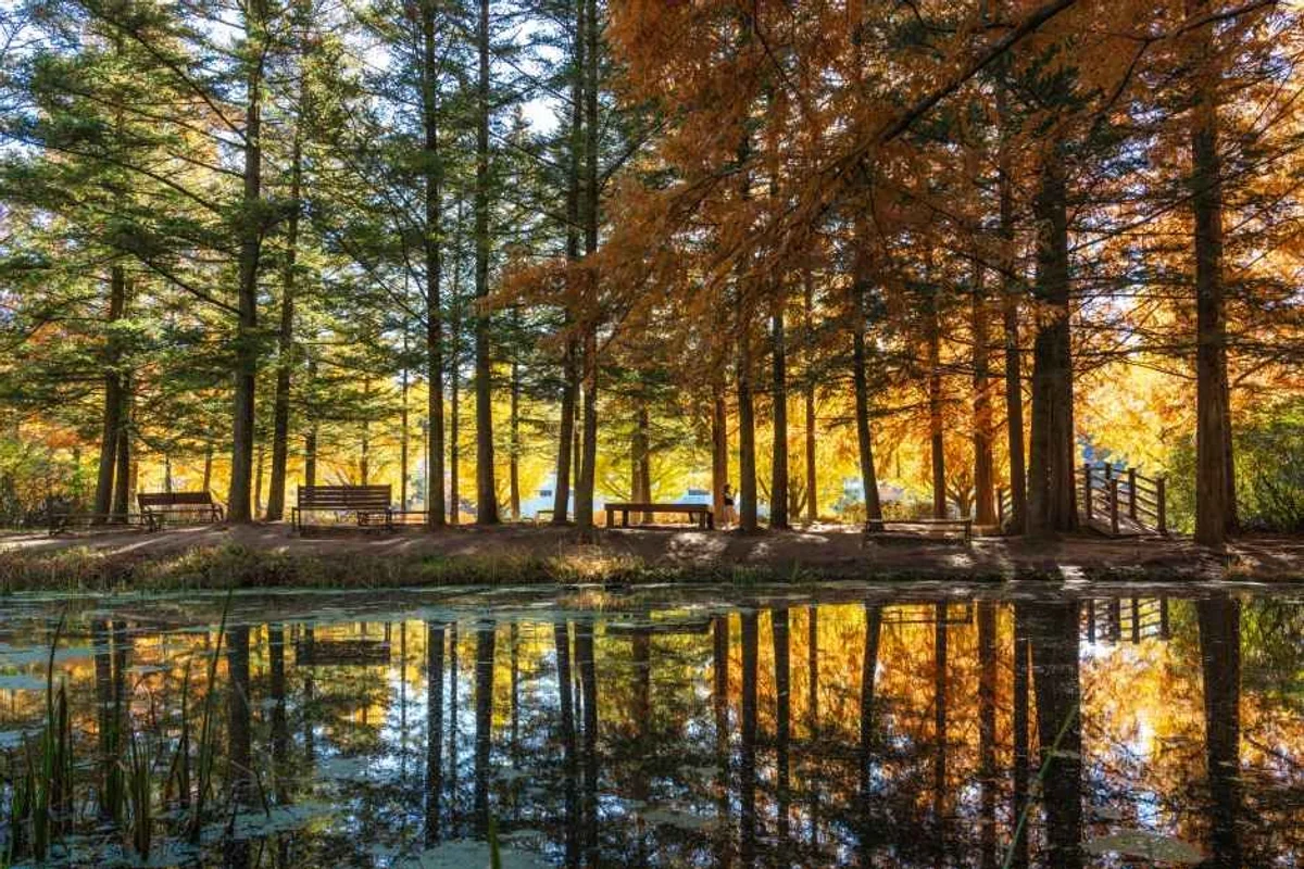 낙강물길공원 - 안동 여행