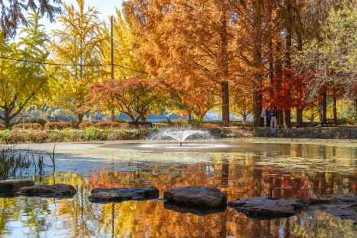 지혜의 숲 - 파주출판도시 여행