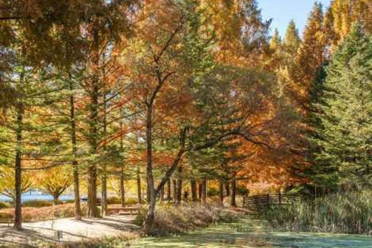 활판인쇄박물관 - 파주출판도시 여행