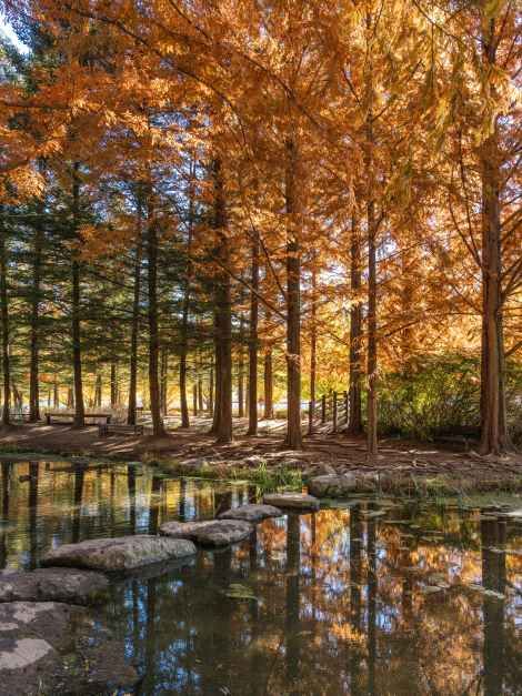 미메시스 아트 뮤지엄 - 파주출판도시 여행