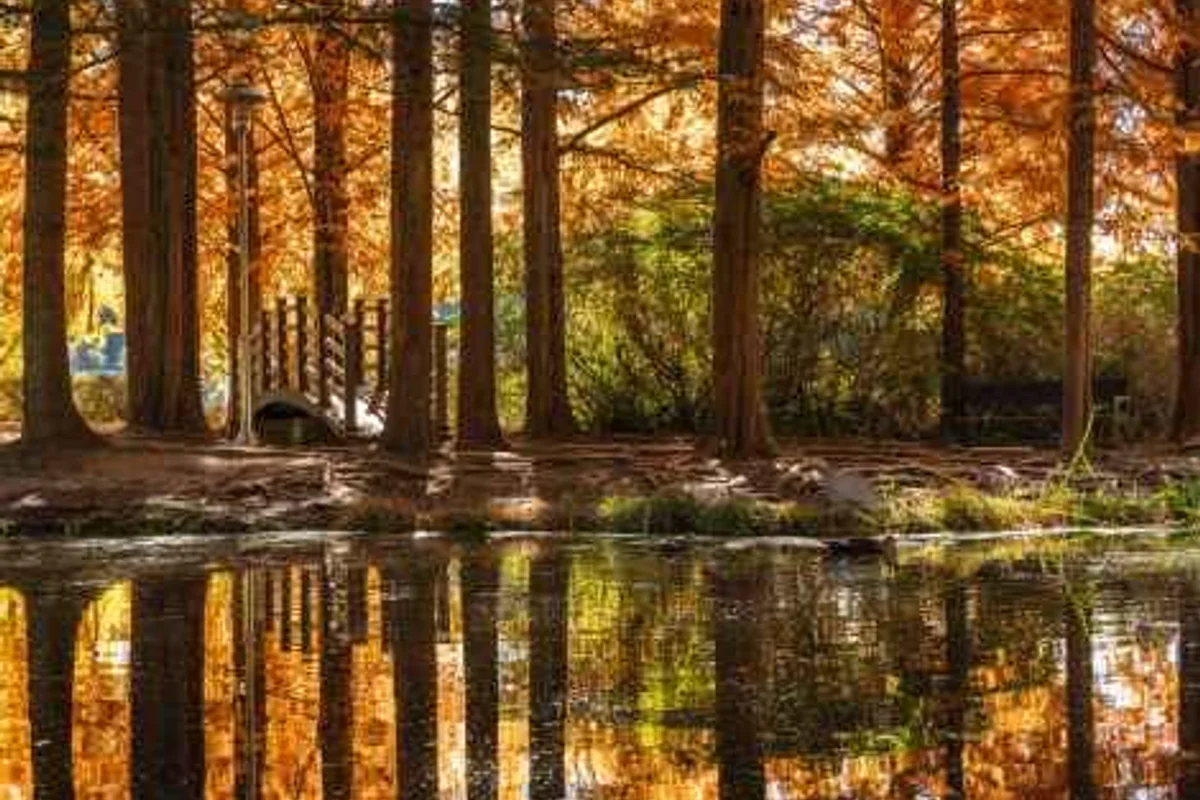 파주나비나라박물관 - 파주출판도시 여행