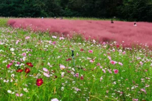 양양서피비치 코스 (출처 : 한국관광공사)