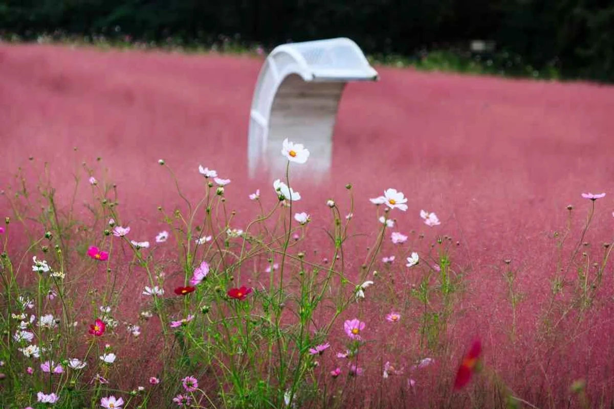 서피비치 선셋바 - 양양서피비치 여행