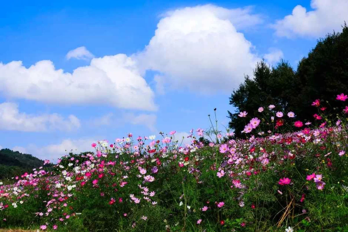 무안군 혼자 여행 (출처 : 한국관광공사)